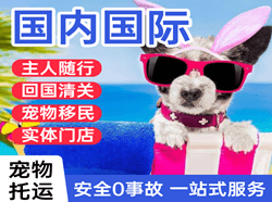 三源浦机场快运国际宠物托运 【国